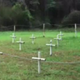 Illustration for article titled Florida Reform School: Complete with Graveyard!